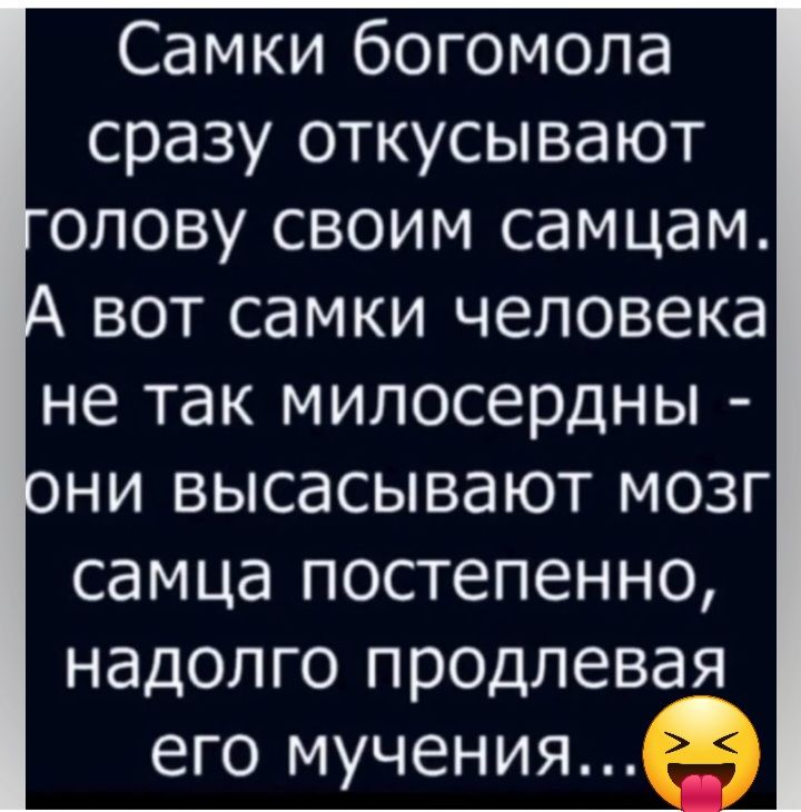 Самки богомола сразу откусывают опову своим самцам вот самки человека не так милосердны оНИ высасывают мозг самца постепенно надолго продлевая его мучения
