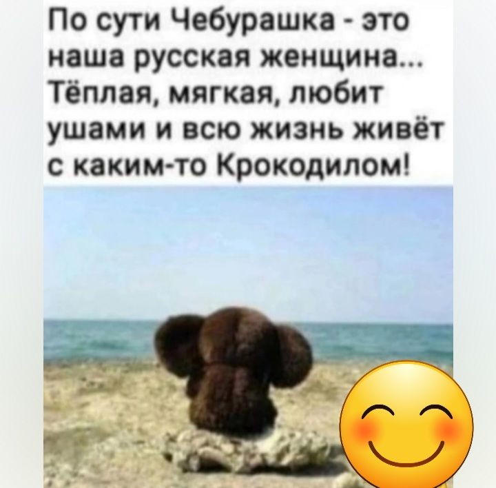 По сути Чебурашка это наша русская жеищииа Тёплая мягкая любит ушами и всю жизнь живёт с каким то Крокодипом