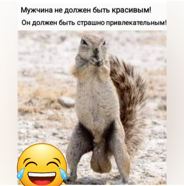 Мужчииа ие должен быть красивым Он должен быть спяшие пришквпльиым