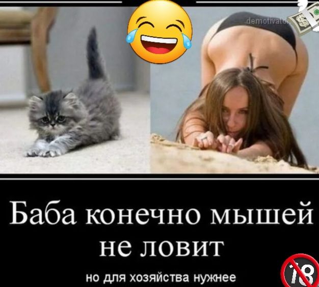Баба конечно мышей НС ЛОВИТ но для хозяйства нужнее