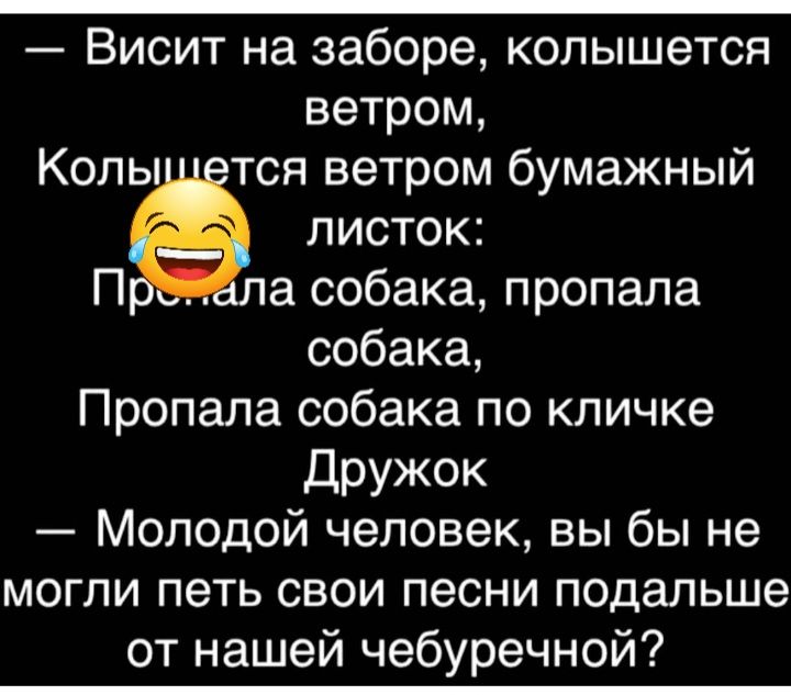 Висит на заборе колышется ветром Копы тся ветром бумажный листок П в собака пропала собака Пропала собака по кличке дРУЖОК Молодой человек вы бы не могли петь свои песни подальше от нашей чебуречной