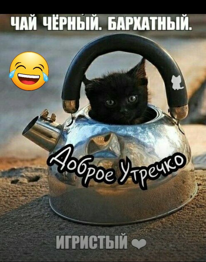 ЧАЙ ЧЁРНЫЙЁБЁМШЫЙ ИГРИВТЫЙ