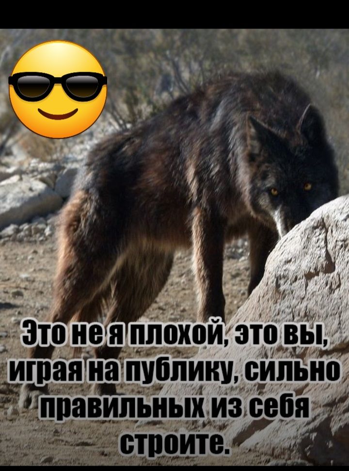 ппоиои эт9 99 _дна публику 9ипьн9