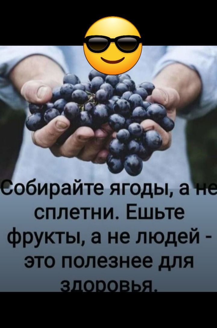 обирайте ягоды а сплетни Ешьте