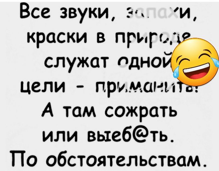 Все звуки и краски в прыг служат Пдно цели примани А там сожрать или выебть По обстоятельствам