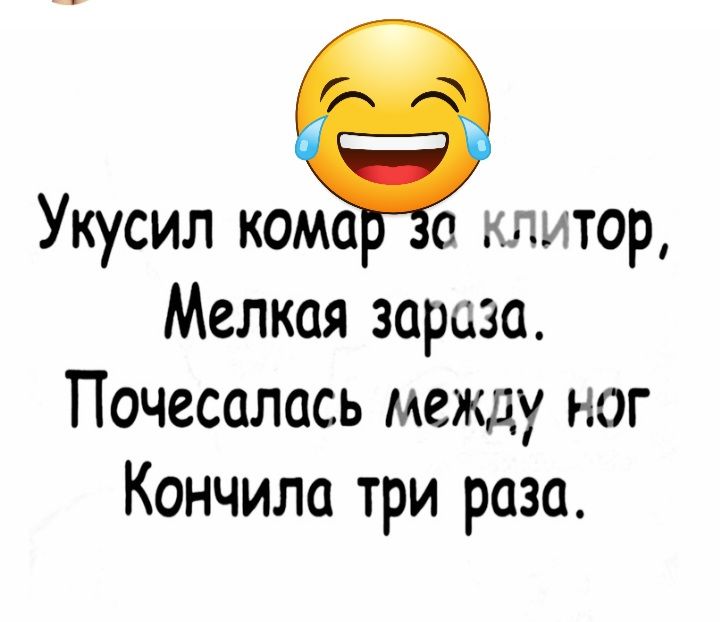 Укусил комп с клитор Мелкая зараза Почесалась между ног Кончили три раза