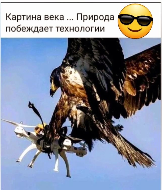 Картина века Природа побеждает технологии