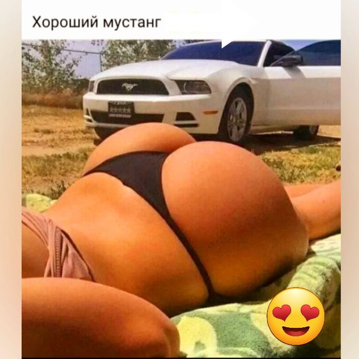 Хороший мустанг