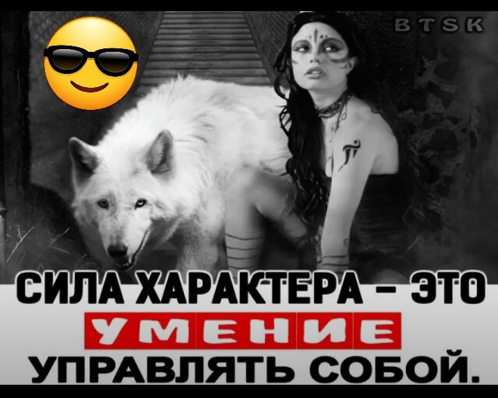 сим ХАРАрк твд это УПРАВЛЯТЬ СОБОЙ