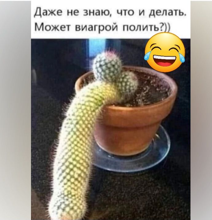Даже не таю что и делать Може виапрои полипа