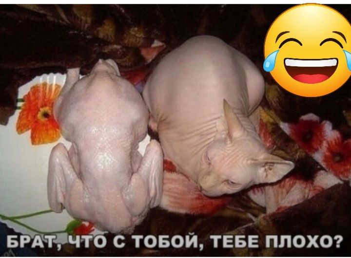 БРАТЭЧЁЪ С ТОБОЙ ТЕБЕ ПЛОХО