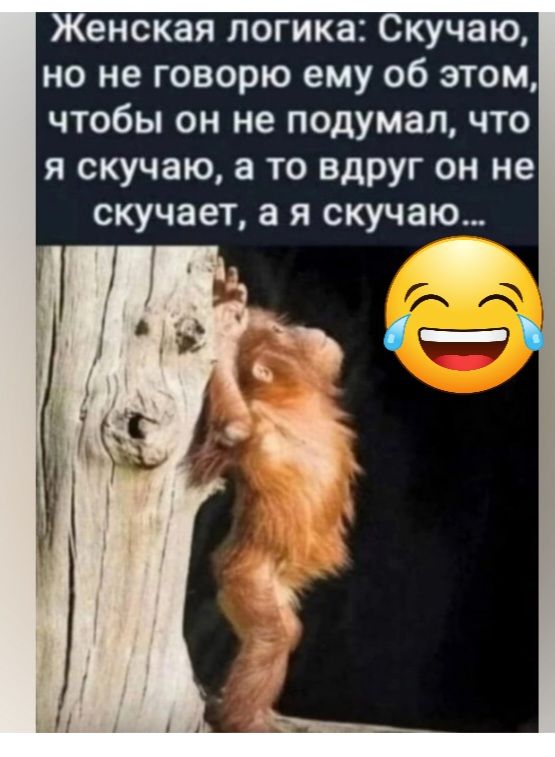 енская логика кучаю но не говорю ему об этом чтобы он не подумал что я скучаю а то вдруг он не скучает а я скучаю іт
