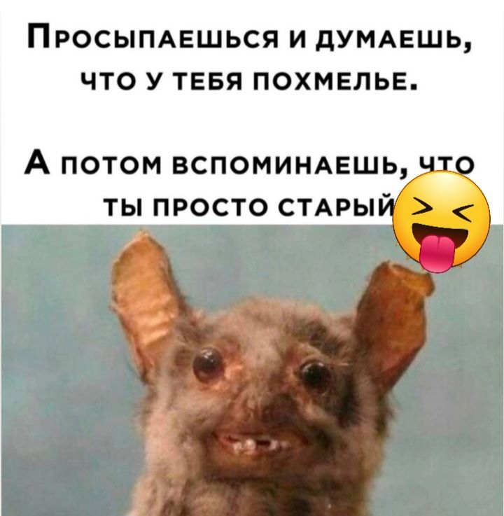 ПРОСЫПАЕШЬСЯ И дУМАЕШЬ ЧТО У ТЕБЯ ПОХМЕЛЬЕ А ТОМ ВСПОМИНАЕШЬ ТЫ ПРОСТО СТАРЫ
