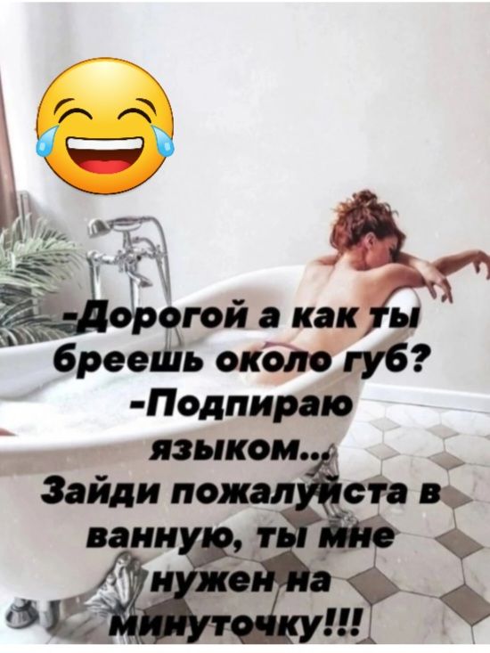 _ гад гой как брег ьокбт Подпира