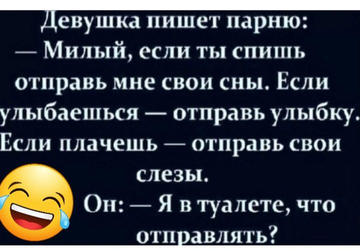 евушка пишет парню Миль1йссли ты спишь отправь мне свои сны Если улыбаешься отправь улыбку Если плачешь отправь свои слезы Он Я в туалете что от авляк