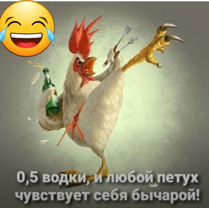 05 водки вбойпетух чувствует себя бычарой