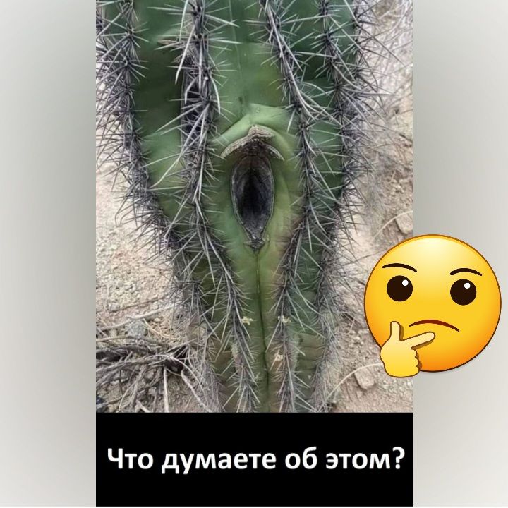Что думаете об этом