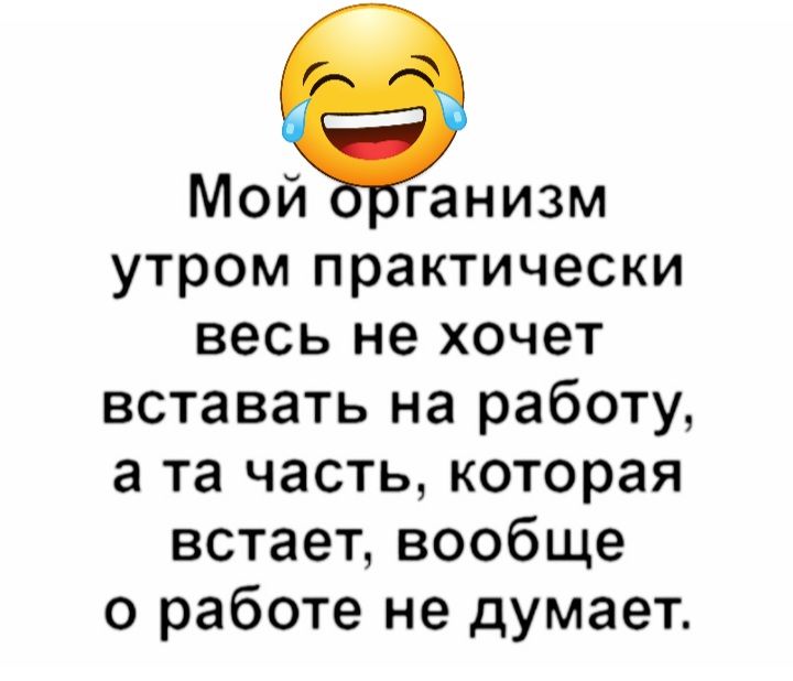 Мой ганизм утром практически весь не хочет вставать на работу а та часть которая встает вообще о работе не думает