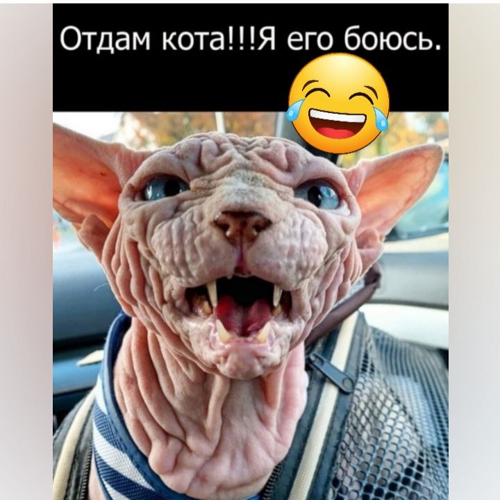 ь С Ю 0 б 0 Г Е Ю Ы т 0 К М т О