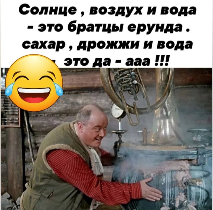 Солнце воздух и вода это братцы ерунда сахар дрожжи и вода