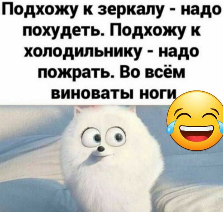 Подхожу к зеркалу надо похудеть Подхожу к холодильнику надо пожрать Во всём виноваты ног Ъ