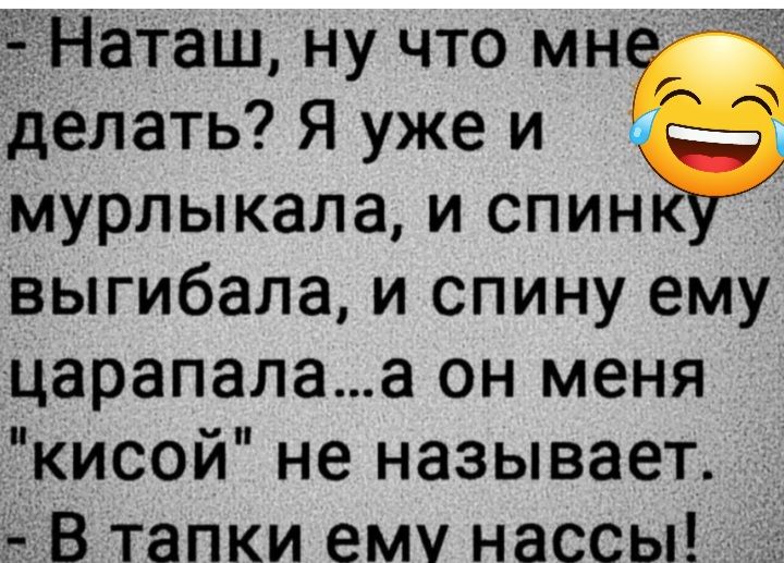 ЗНаташ ну что мн делать Я уже и мурлыкала и спинк выгибала и спину ему царапапаа он меня кисой не называет _ В тапки ему нассы