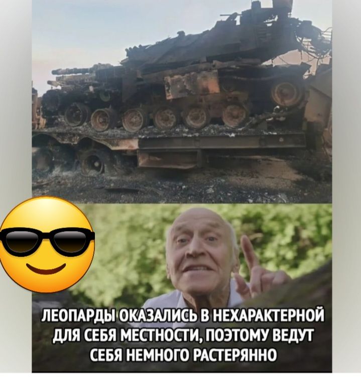 ЛЕОПАРДЫЮШШИЕЬ НЕХАРАКТЕРНОЙ для СЕБЯ МЕСТ НОП И ПОЭТОМУ ВЕДУТ СЕБЯ НЕМНОГО РАПЕРЯННО