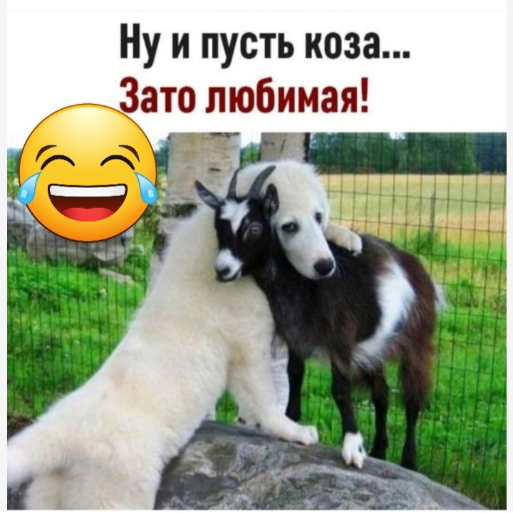 Ну и пусть коза