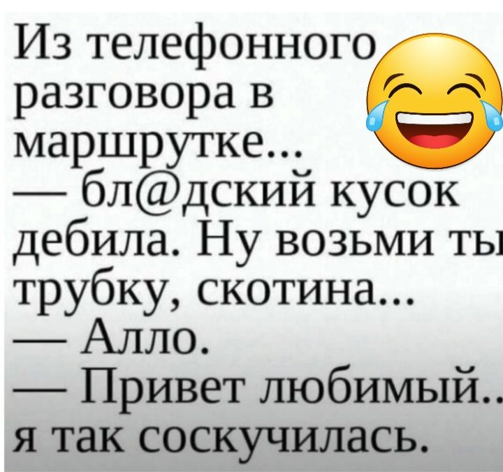 Из телефонного разговора в маршрутке блдский кусок дебила Ну возьми ты трубку скотина Алло Привет любимый я так соскучилась