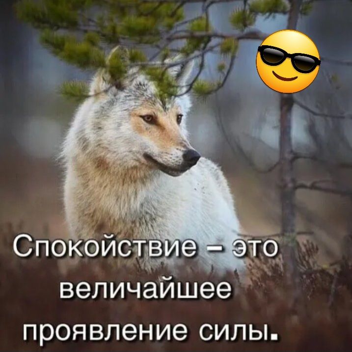ПРОЯВЛЭНИЭ СИЛЫ