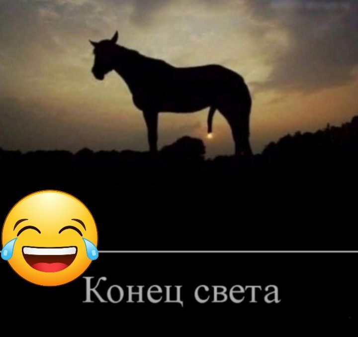 ОНСЦ света