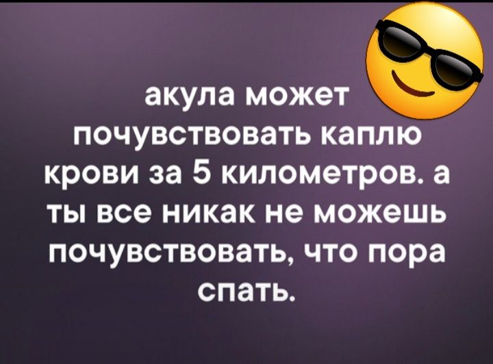 акула может почувствовать каплю крови за 5 километров а ты все никак не можешь почувствовать что пора спать