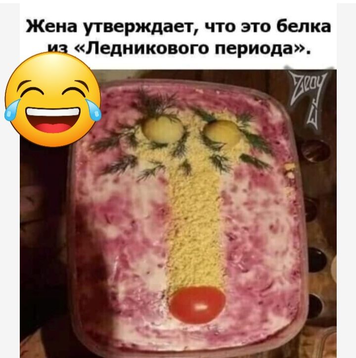 Жена утверждает что это белка Ледникового периода