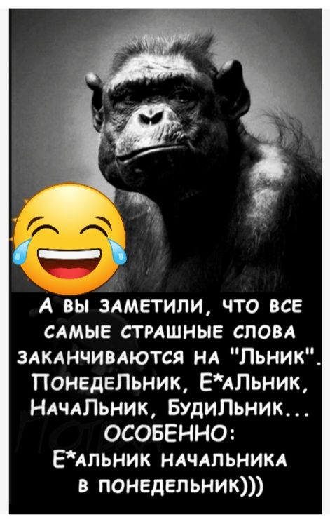 А вы злмгтипи что все слмые сгмшные слом злкднчимются НА Льник Понедгпьник ЕАльник НАЧАЛЬНИК Будипьник ОСОБЕННО ЕАпьник ндчлпьникд в понедельник