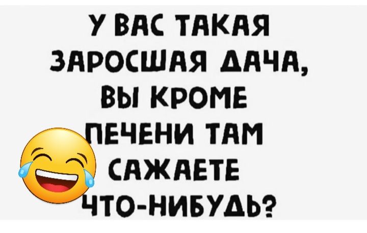 У ВАС ТАКАЯ ЗАРОСШАЯ ААЧА ВЫ КРОМЕ ЕЧЕНИ ТАМ САЖАЕТЕ ТО НИБУАЬ