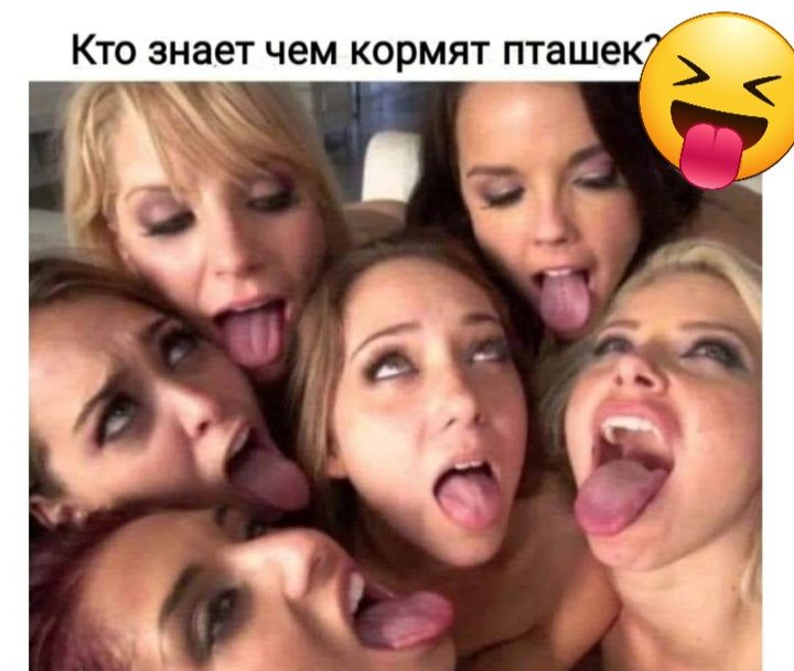 КТО знает чем КОРМЯТ ПТЗШЕК