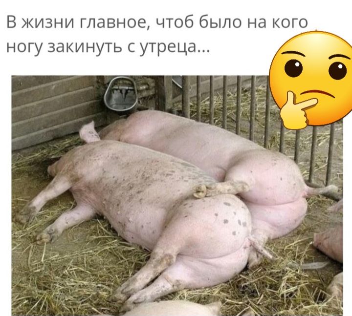 В жизни главное чтоб было на кого ногу зав инуть утреца