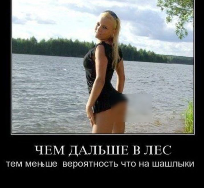 ЧЕМ ДАЛЬШЕ В ЛЕС тем меНьше вероятность что на шашлыки