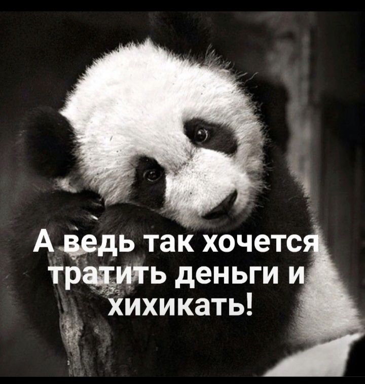 Адедь так хочете традмь деньги и хихикать