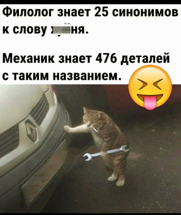 Филолог знает 25 синонимов к слову _ня Механик знает 476 деталей с таким названием