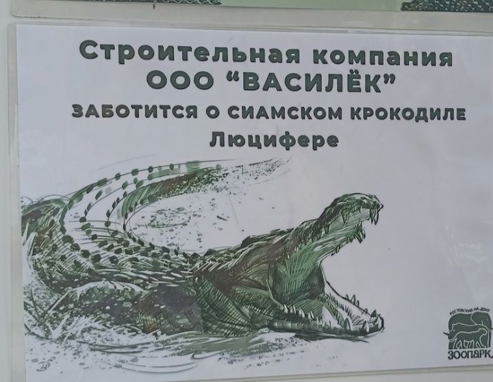 Строитепьидя КОМПНИП 00 ВАСИПЁК Авотится о сидмском квокедим Люцифер