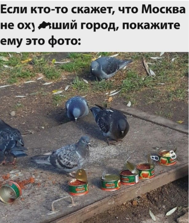 Если кто то скажет что Москва не 0х3 тший город покажите