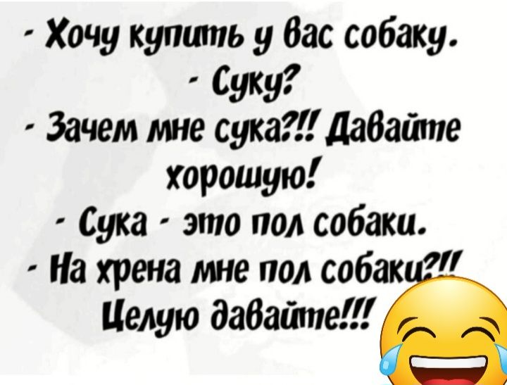 Хочу купить у Вас собаку суку Зачем не сука дабайте хорошую Сука это под собаки На хрена те под собак Целую дабатпе