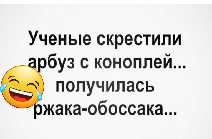 Ученые скрестили буз с коноплей получилась жака обоссака