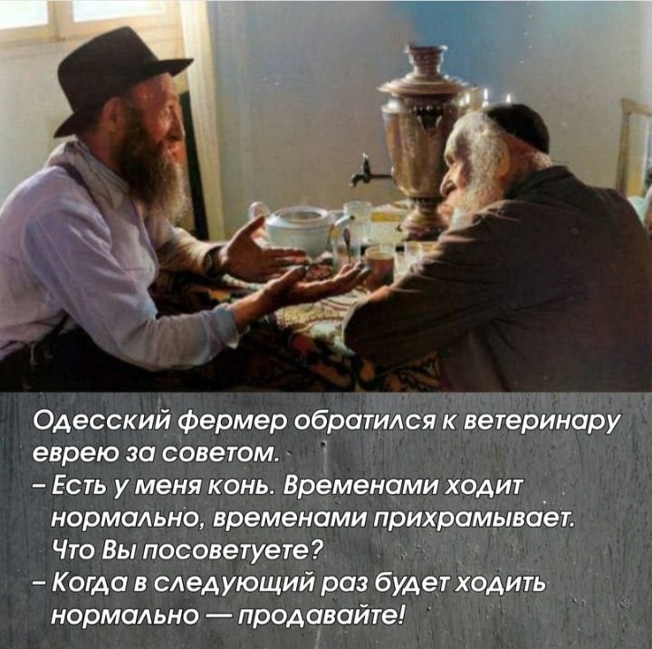 Одесский Фермер обраіиігся иветери зсру еврею за салатом Есть у меня конь Временами ходит нормально временами прил Что Вы посоветуете Когда в следующий рш будет ХЪДЙТЬ нормально проделайте