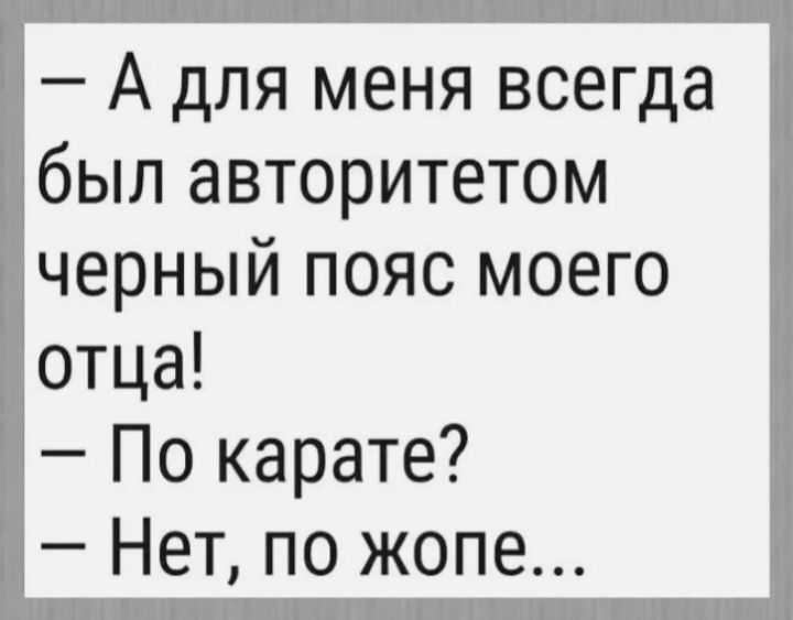 А для меня всегда был авторитетом черный пояс моего отца По карате Нет по жопе