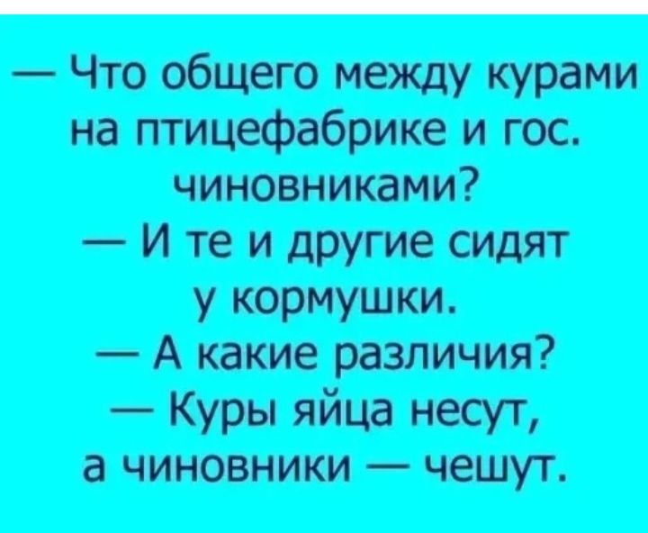 Что общего между курами на птицефабрике и гос чиновниками И те и другие сидят у кормушки А какие различия Куры яйца несут а чиновники чешут