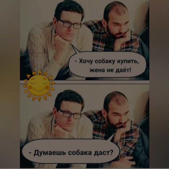 Хачу собаку купигь жека и даёт думаешь собака даст