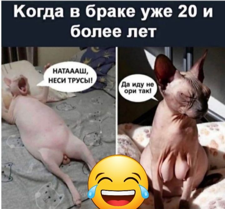 Когда в браке уже 20 и более лет