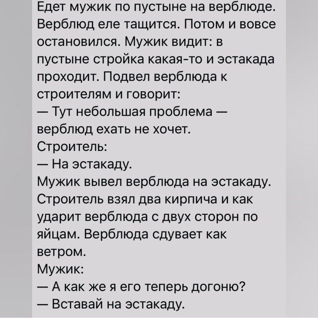 Едет мужик по пустыне на верблюда Верблюд еле тащится Потом и вовсе остановился Мужик видит в пустыне стройка какая то и эстакада проходит Подвел верблюда к строителям и говорит _ Тут небольшая проблема верблюд ехать не хочет Строитель На эстакаду Мужик вывел верблюда на эстакаду Строитель взял два кирпича и как ударит верблюда двух сторон по яйцам Верблюда сдувает как ветром Мужик А как же я его 